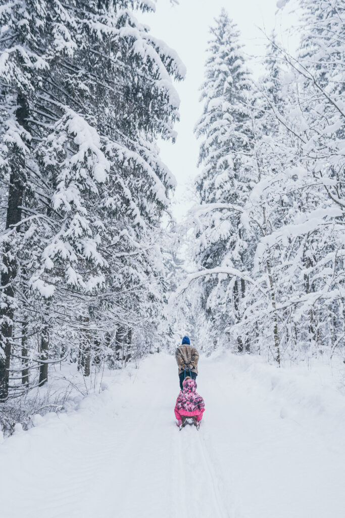 Talvine mets, Piltsberg ümberingi valged puud.